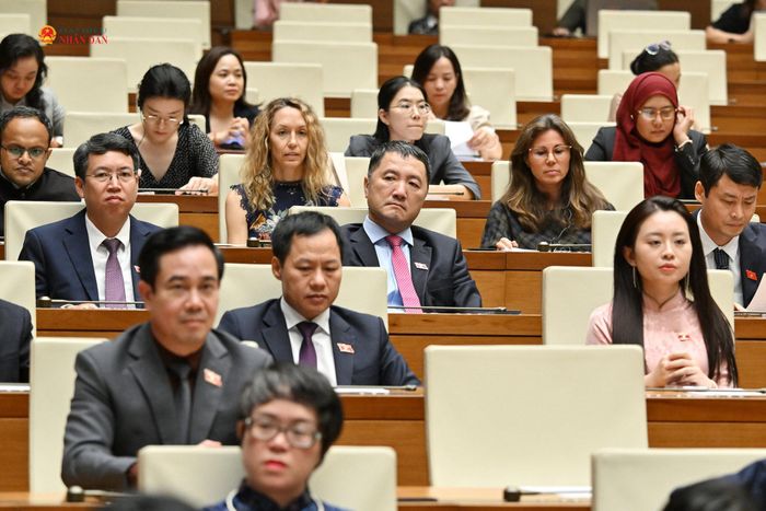 Các đại biểu tham dự buổi lễ