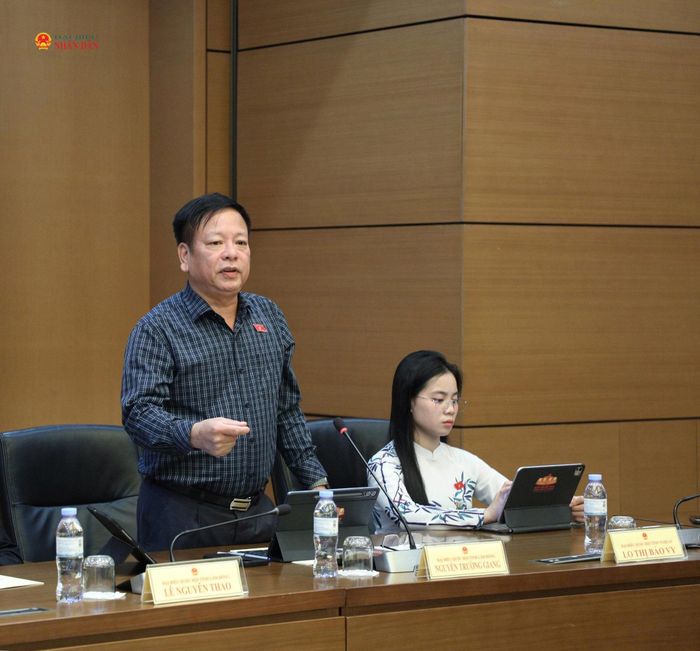 ĐBQH Nguyễn Trường Giang (Lâm Đồng) phát biểu