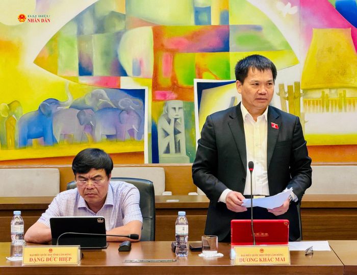 ĐBQH Dương Khắc Mai (Lâm Đồng) phát biểu