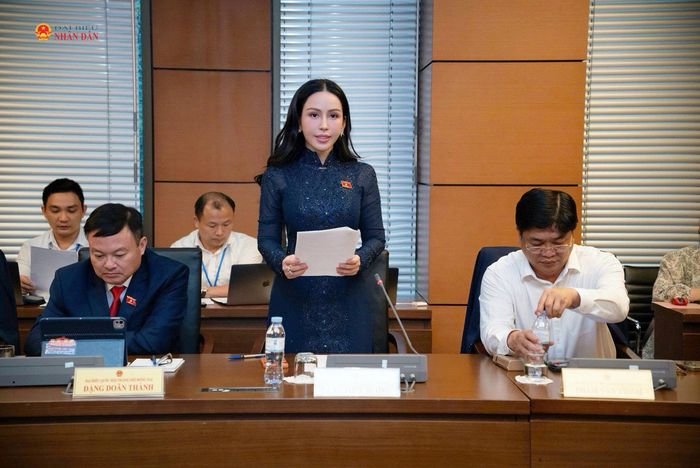 ĐBQH Lê Nữ Thùy Dương (TP. Đồng Nai) phát biểu