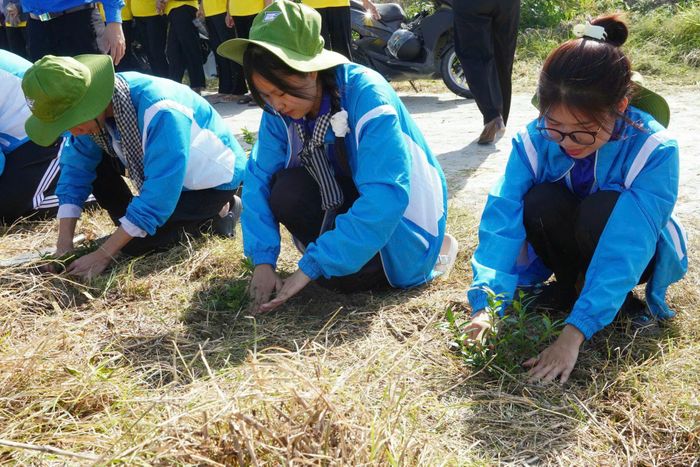 Phát động người dân trồng thêm cây xanh dọc hai bên tuyến đường nông thôn ấp Hòa Thạnh