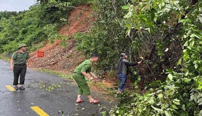 Công an xã xử lý cây đổ ra đường.