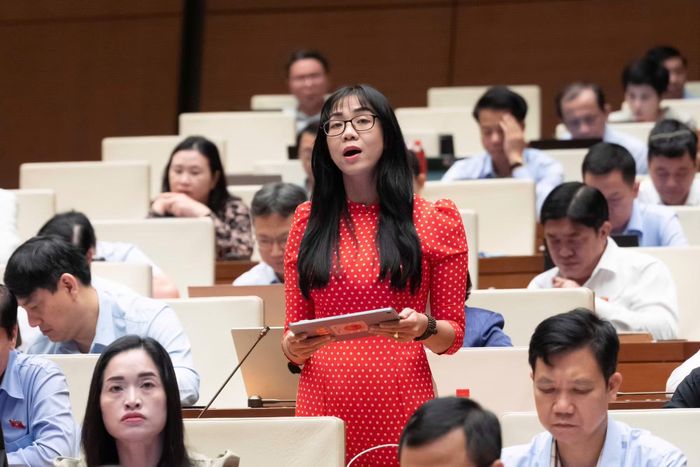 Đại biểu Trịnh Thị Tú Anh đề nghị Chính phủ ban hành khung trình tự, thủ tục hành chính thống nhất trên phạm vi toàn quốc.