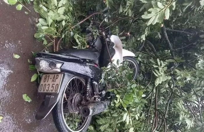 Chiếc xe của anh Quốc bị đè hư hỏng tại hiện trường.
