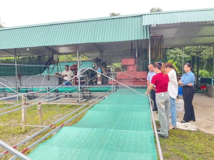 Kiểm tra mô hình sản xuất thử nghiệm tại Hợp tác xã Nông sản Tân Việt Á tại xã Minh Tâm.