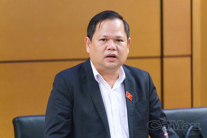 Đại biểu Nguyễn Duy Thanh, Uỷ viên Uỷ ban Kinh tế và Tài chính của Quốc hội, phát biểu tại phiên thảo luận.