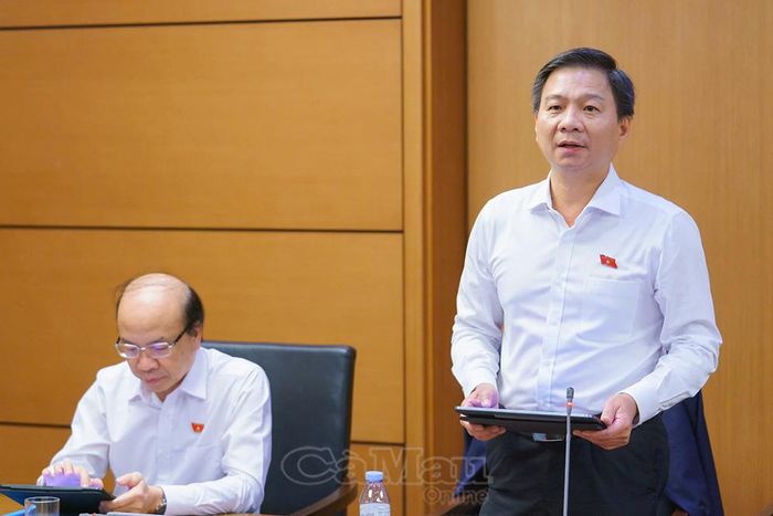 Đại biểu Nguyễn Bình Tân, Phó Trưởng đoàn chuyên trách Đoàn ĐBQH tỉnh Cà Mau, phát biểu tại phiên thảo luận Tổ 8.