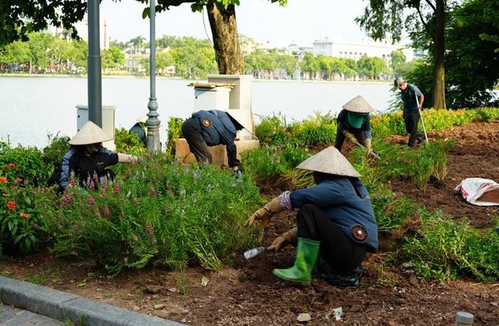Tranh thủ những ngày cận lễ, công nhân khẩn trương trồng và chăm sóc hoa, mang thêm sắc màu tươi thắm cho không gian Hồ Gươm.