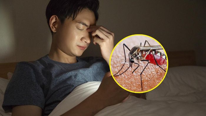 Muỗi có bị thu hút bởi ánh sáng không? Ảnh minh họa.