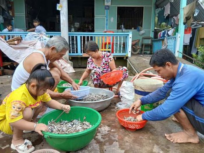 Cá linh lên đồng báo hiệu mùa nước nổi đã về