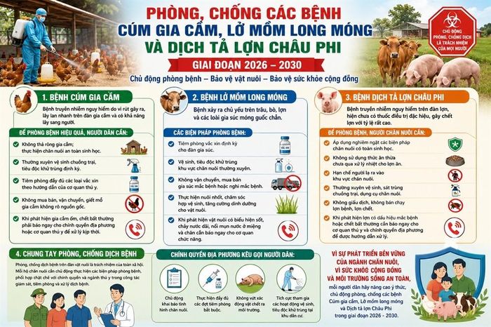 Phòng, chống dịch bệnh trên đàn vật nuôi là trách nhiệm của toàn xã hội.