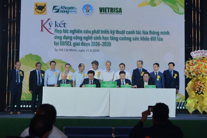 Công ty CP Phân bón Bình Điền ký kết thỏa thuận hợp tác nghiên cứu phát triển kỹ thuật canh tác lúa thông minh, ứng dụng công nghệ sinh học nhằm tăng cường sức khỏe đất lúa tại Đồng bằng sông Cửu Long giai đoạn 2026 - 2030 với Viện Lúa Đồng bằng sông Cửu Long, Trung tâm Khuyến nông Quốc gia và Hiệp hội Ngành hàng Lúa gạo Việt Nam.