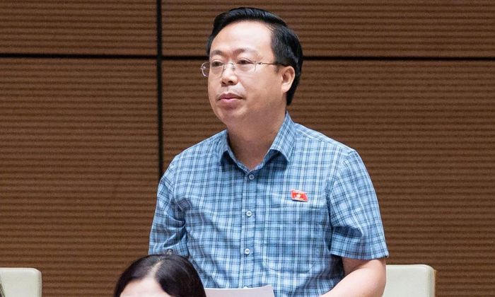 Đại biểu Nguyễn Đại Thắng (đoàn Hưng Yên).