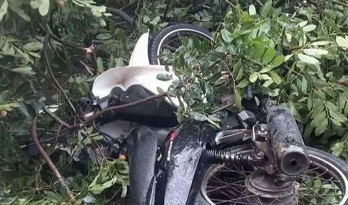 Hiện trường vụ việc