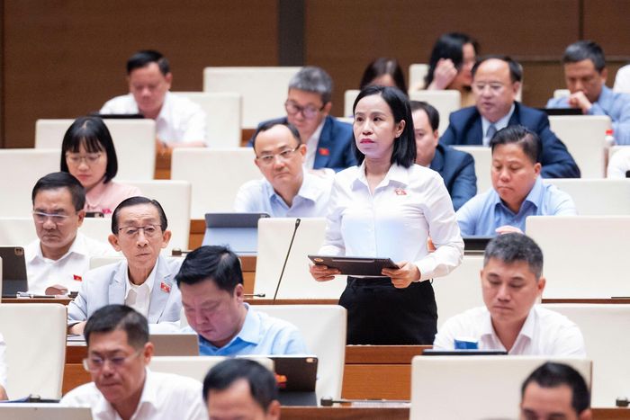 Đại biểu Võ Ngọc Thanh Trúc. (Ảnh: Media Quốc hội)