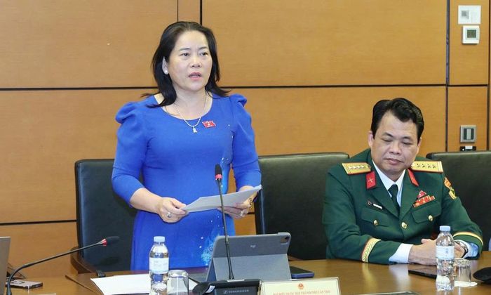 Đại biểu Lê Thị Thanh Lam. (Ảnh: Media Quốc hội)
