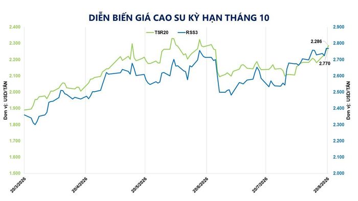 Diễn biến giá cao su kỳ hạn tháng 10. Nguồn: MXV