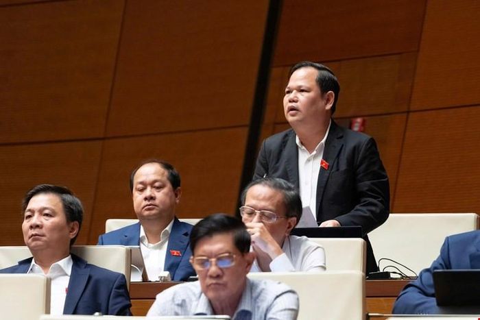 Đại biểu Nguyễn Duy Thanh (Đoàn Cà Mau) phát biểu thảo luận. Ảnh: Quochoi.vn