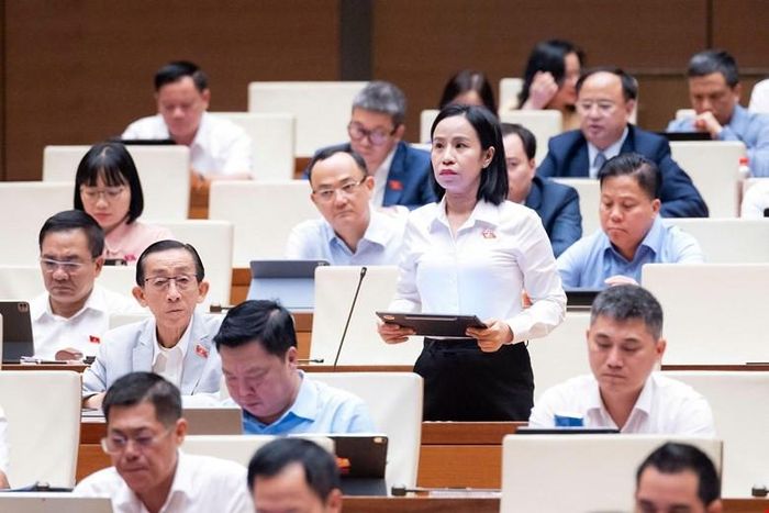 Đại biểu Võ Ngọc Thanh Trúc (Đoàn thành phố Hồ Chí Minh) phát biểu thảo luận. Ảnh: Quochoi.vn