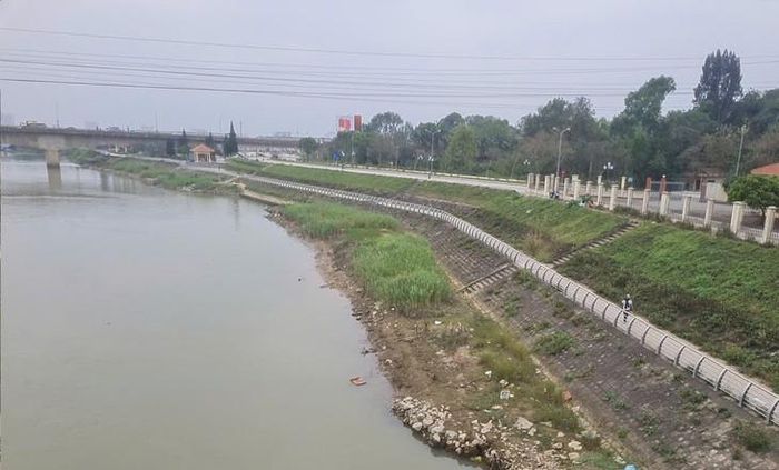 Đoạn đê kè hữu sông Mã qua phường Hàm Rồng được xác định là trọng điểm cấp tỉnh. Ảnh: Ngọc Hưng.