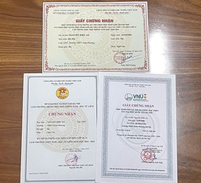 Diệu An từng giành giải Ba kỳ thi Học sinh giỏi môn Ngữ Văn cấp thành phố năm học 2025 - 2026, giải Ba môn Ngữ Văn tại kỳ thi Olympic bậc THPT của Đại học Quốc gia Hà Nội.