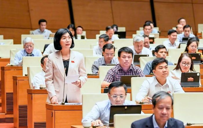 Đại biểu Phùng Thị Hồng Hà phát biểu