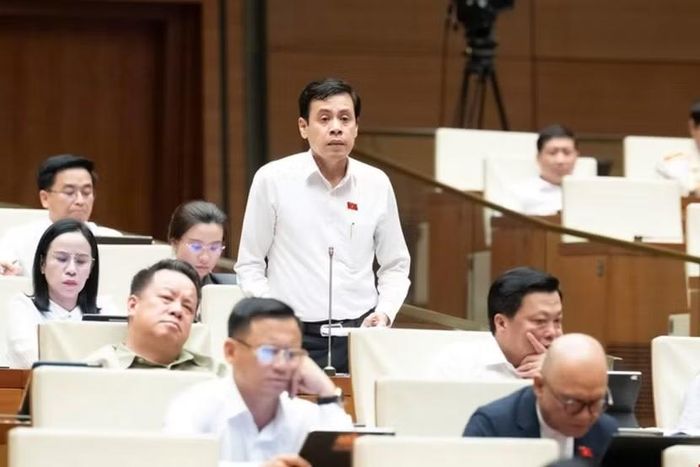 Đại biểu Trần Anh Tuấn (đoàn TP Hồ Chí Minh) phát biểu