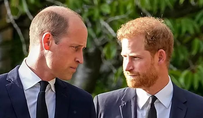 ANL gọi phán quyết ngày 21/8 là "một chiến thắng vang dội nữa cho Daily Mail và nền báo chí", đồng thời cho rằng quyết định của tòa là sự chỉ trích mạnh mẽ đối với nỗ lực nhằm làm tổn hại danh tiếng của tờ báo và đội ngũ nhân sự.
