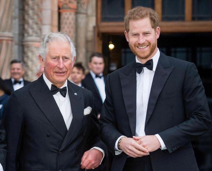 Vua Charles III và Hoàng tử Harry. Ảnh: Vanity Fair.