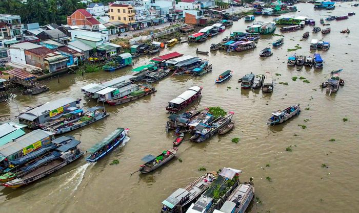  Khu vực chợ nổi Cái Răng đông đúc ghe, xuồng chở du khách và buôn bán. Ảnh: Hoàng Giám. 
