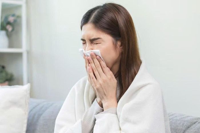  Hắt hơi là một trong những triệu chứng có thể xuất hiện khi niêm mạc mũi bị kích ứng bởi bào tử nấm mốc trong không khí. Ảnh: Shutterstock.