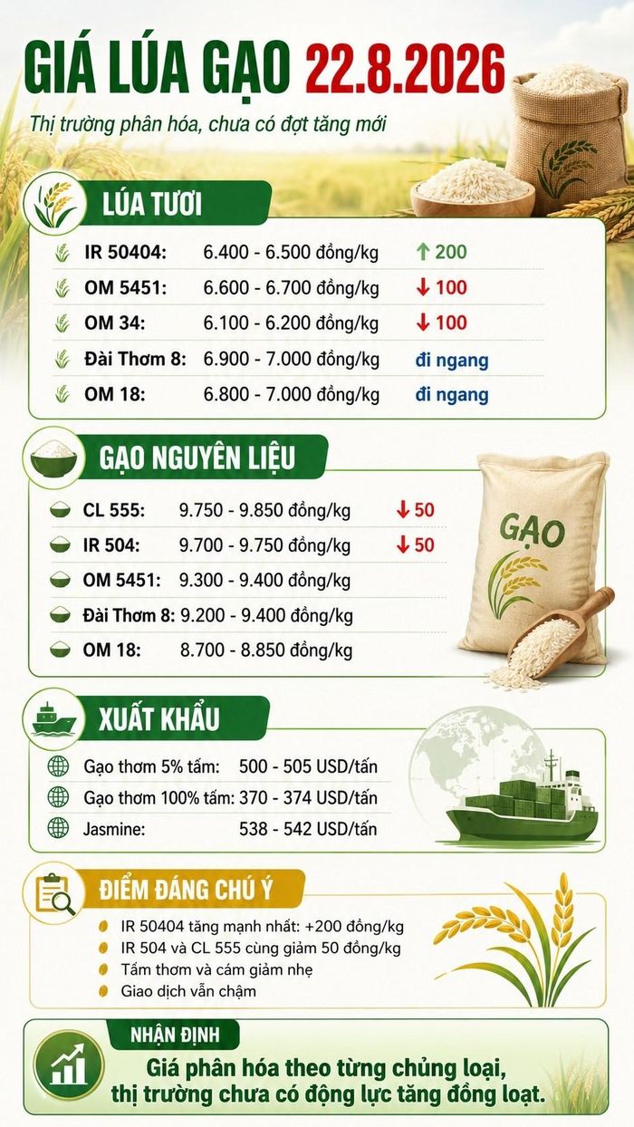 Các mức giá trong bài là vùng tham khảo từ diễn biến thị trường dự kiến ngày 22.8.2026; giá thực tế có thể khác nhau theo khu vực, chất lượng hàng và thời điểm giao dịch.
