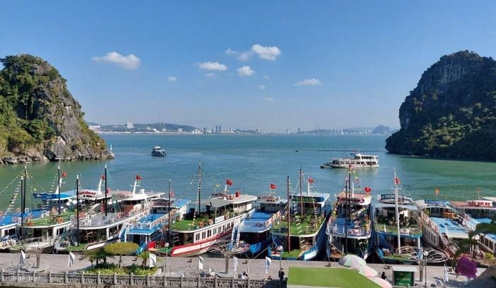 Hải Phòng, Quảng Ninh cấm các tàu thuyền hoạt động trên biển từ 07 giờ ngày 22.8.2026.