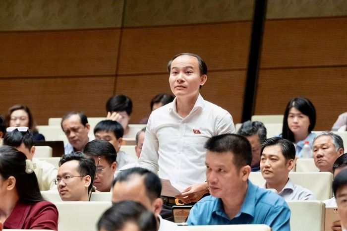 Đại biểu Vũ Ngọc Lâm phát biểu