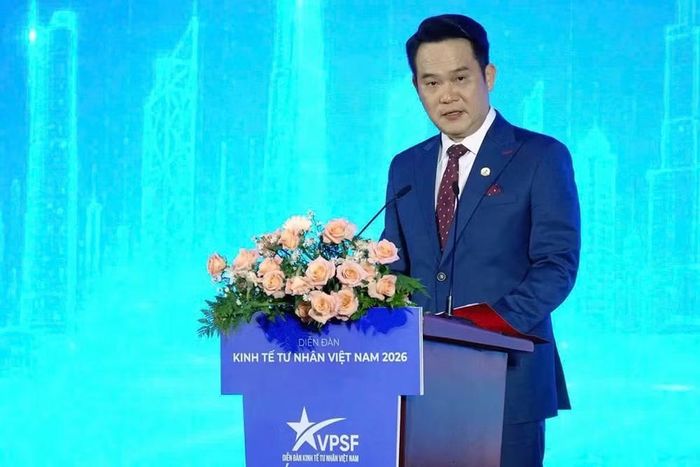 Chủ tịch Hội Doanh nhân trẻ Việt Nam Đặng Hồng Anh phát biểu ý kiến. (Ảnh: Trung ương Hội Doanh nhân trẻ Việt Nam cung cấp)