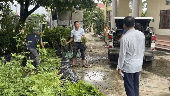 Người dân xã Lục Nam vận chuyển cây giống về nhà. (Ảnh: HH)