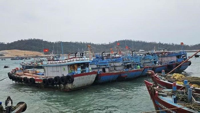 Tàu về neo đậu tại khu vực tránh trú bão ở đặc khu Cô Tô.