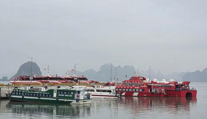 Tàu du lịch neo đậu tại Cảng tàu Quốc tế Ao Tiên, Quảng Ninh. (Ảnh: Quang Thọ)