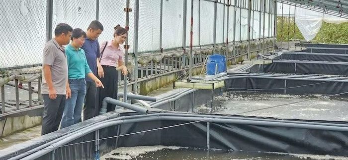 Các cơ sở nuôi trồng thủy sản cần tăng cường công tác bảo đảm an toàn về người, phương tiện và tài sản trước diễn biến của bão số 4. (Ảnh: Quang Thọ)