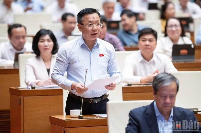 Đại biểu Quốc hội Trần Thanh Hà. (Ảnh: DUY LINH)
