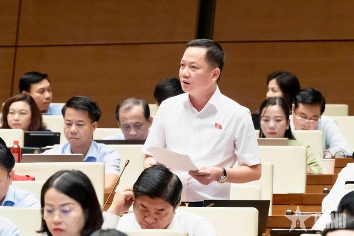  Đại biểu Trịnh Xuân An phát biểu.