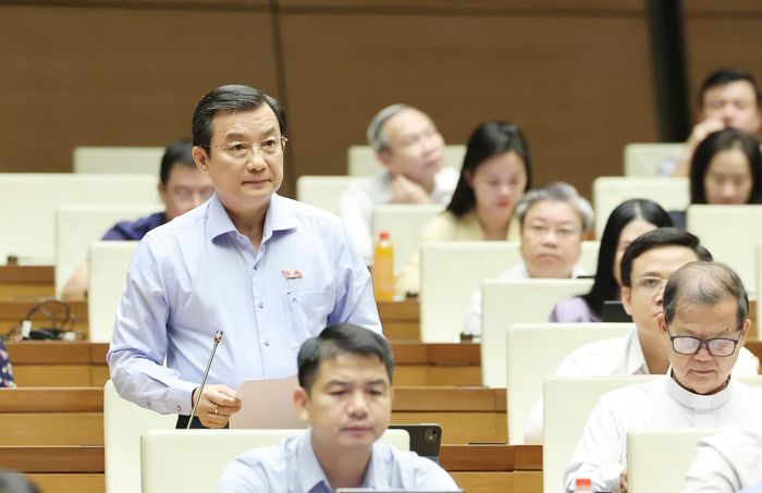  ĐB Phạm Trọng Nhân (TPHCM) phát biểu tại phiên họp. Ảnh: QUANG PHÚC 