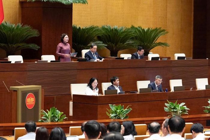  Phó Chủ tịch Quốc hội Nguyễn Thị Hồng điều hành phiên họp. Ảnh: VIẾT CHUNG 