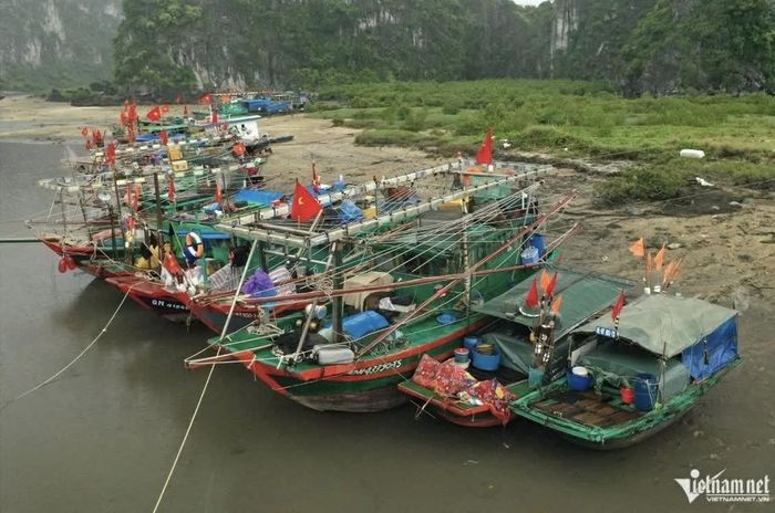 Hướng dẫn tàu, thuyền neo đậu an toàn và duy trì liên lạc trong vùng ảnh hưởng của bão. (Ảnh: Phạm Công)