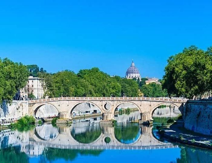 Vatican xây nhà máy điện Mặt trời kết hợp nông nghiệp quy mô lớn. (Nguồn: Getty Images)