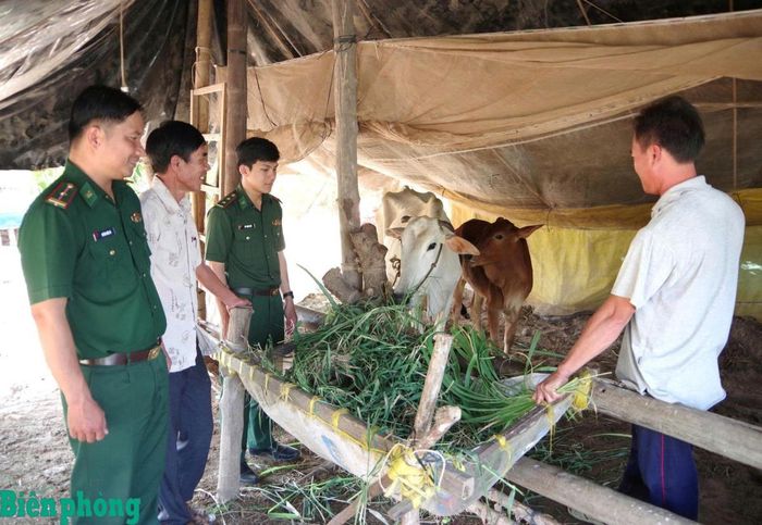 Cán bộ Bộ đội Biên phòng tỉnh Vĩnh Long trao tặng bò giống, hỗ trợ sinh kế, giúp hộ dân có hoàn cảnh khó khăn từng bước ổn định cuộc sống. Ảnh: Sa Rây