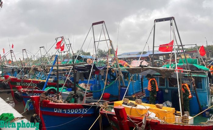 Các phương tiện được Bộ đội Biên phòng thành phố Hải Phòng hướng dẫn về neo đậu tránh trú an toàn tại các bến. Ảnh: Nguyễn Khánh