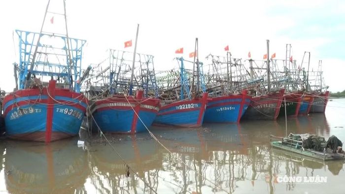 4 địa phương cấm biển, hơn 210.000 người được cảnh báo bão. Ảnh: PT