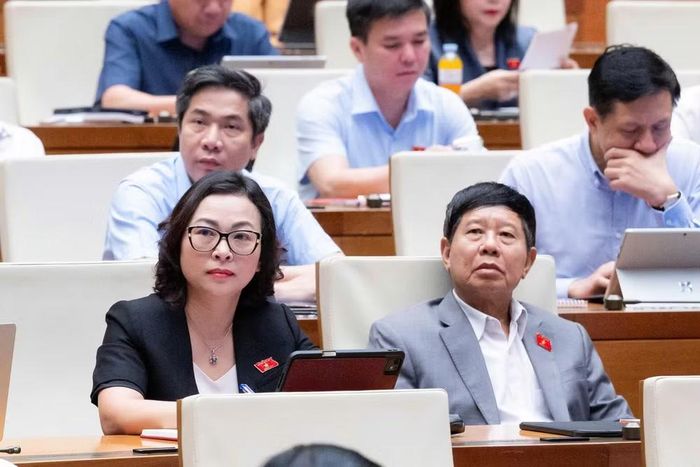Các đại biểu tham dự phiên thảo luận (ảnh QH).