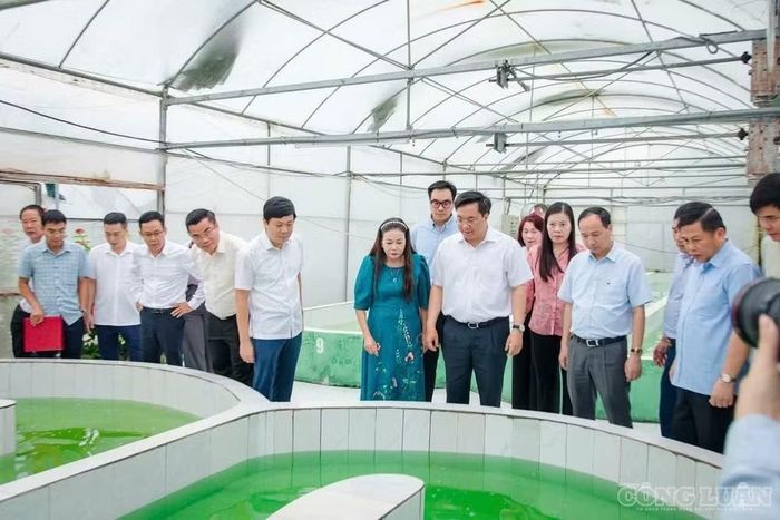 Chủ tịch UBND tỉnh Phú Thọ Trần Duy Đông và Đoàn công tác thăm, làm việc tại Công ty Cổ phần Giống - Vật tư nông nghiệp công nghệ cao Việt Nam - Ảnh: Phùng Thọ.